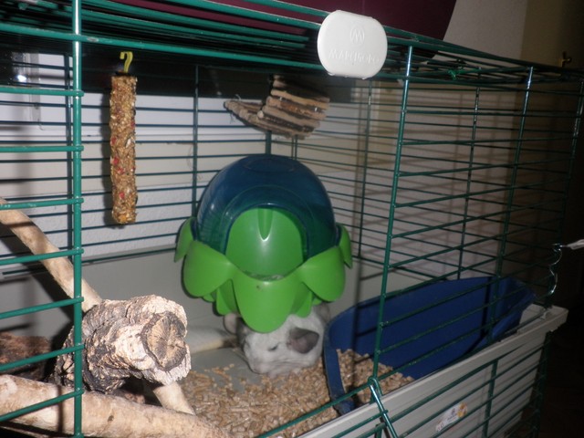 P1010008 [640x480].JPG