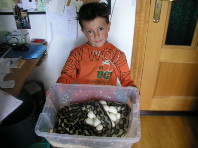 P1010013 [Resolución de Escritorio].JPG