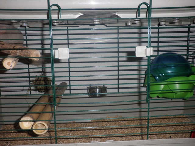 P1010014 (2) [640x480].JPG