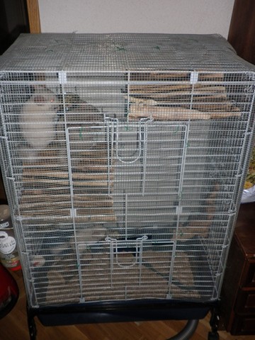 P1010017 (2) [640x480].JPG