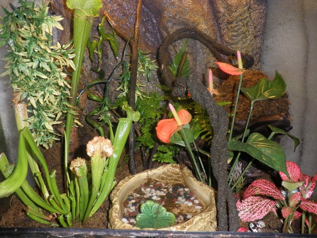 P1010019 [640x480].JPG