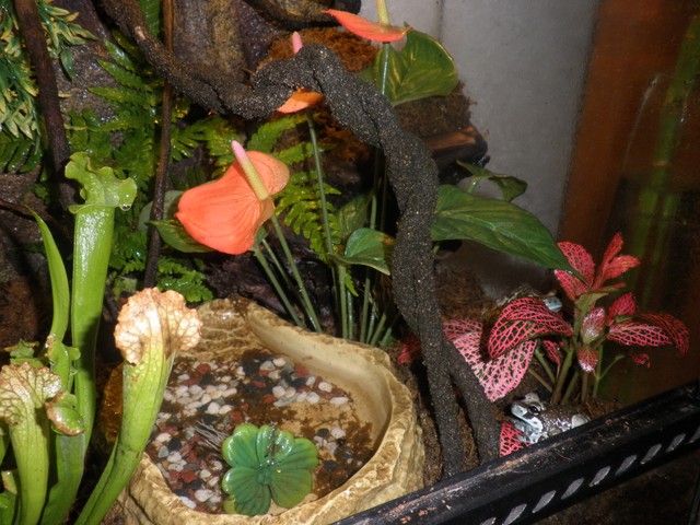 P1010020 [640x480].JPG