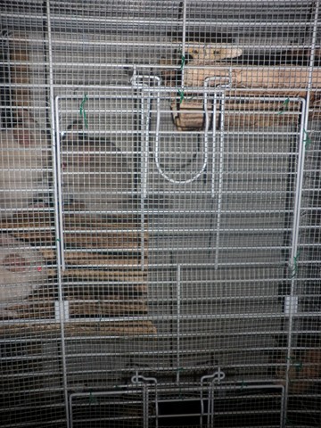 P1010021 (2) [640x480].JPG