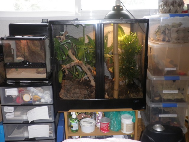 P1010021 [640x480].JPG