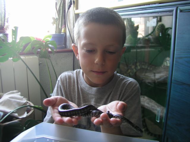 P1010032 [Resolución de Escritorio].JPG