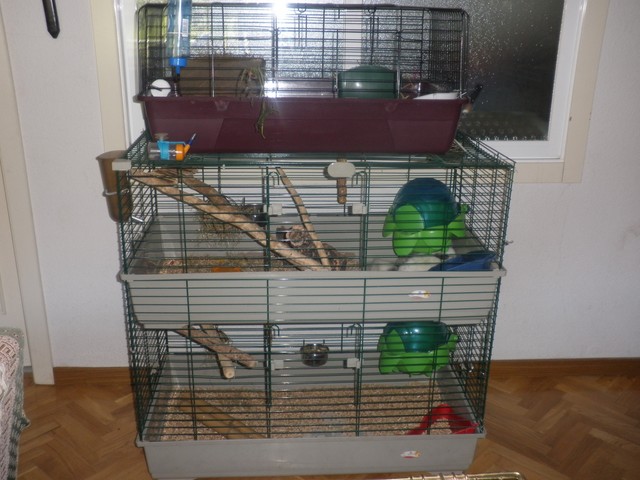 P1010043 (2) [640x480].JPG