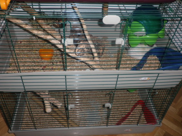 P1010046 (2) [640x480].JPG