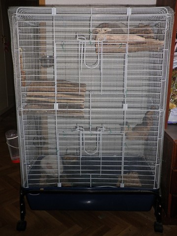 P1010051 (2) [640x480].JPG