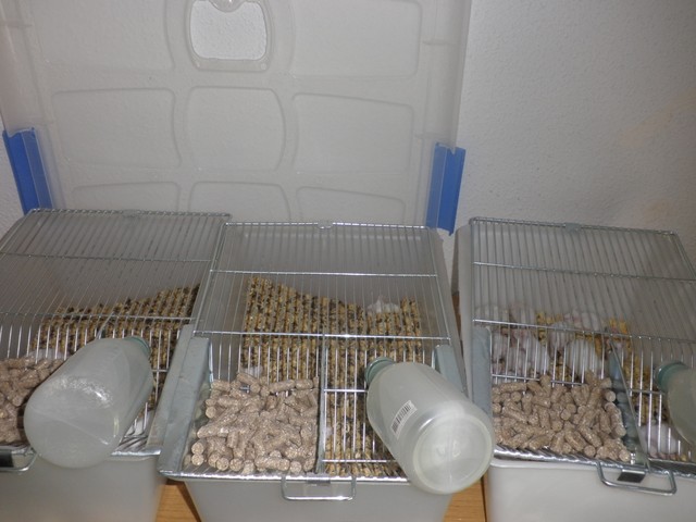 P1010053 [640x480].JPG