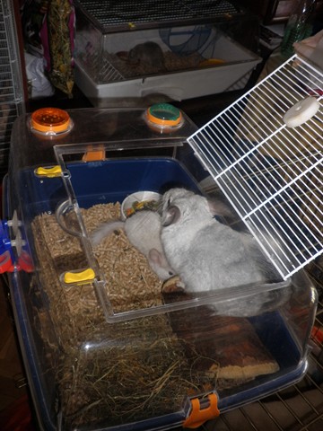 P1010068 [640x480].JPG