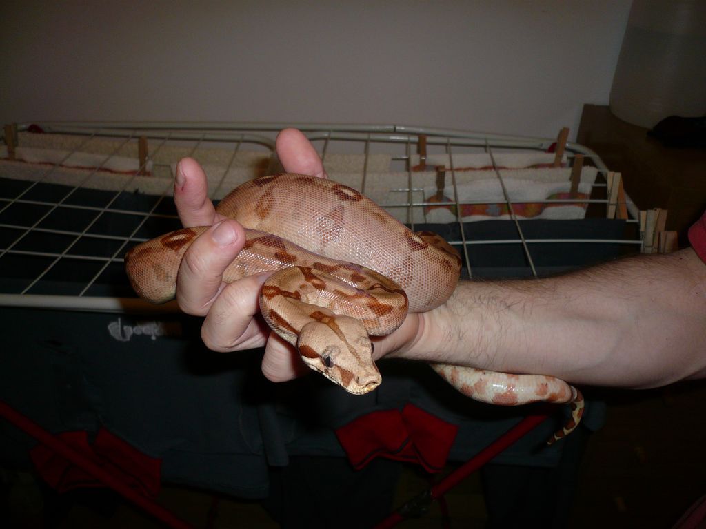 P1010725 [Resolucion de Escritorio].JPG