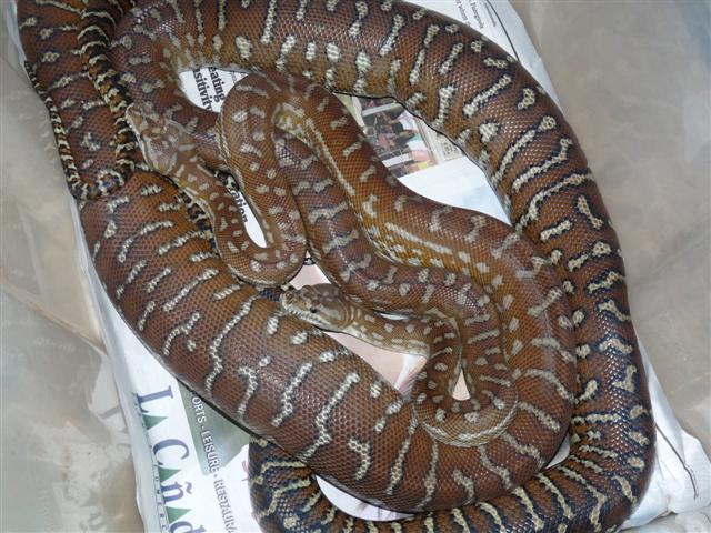 P1030277 (Small).JPG