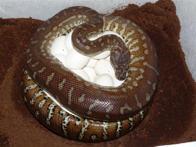 P1030280 (Small).JPG