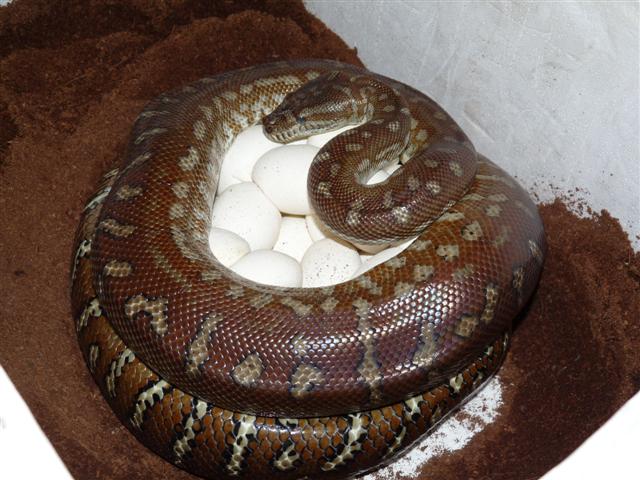 P1030283 (Small).JPG