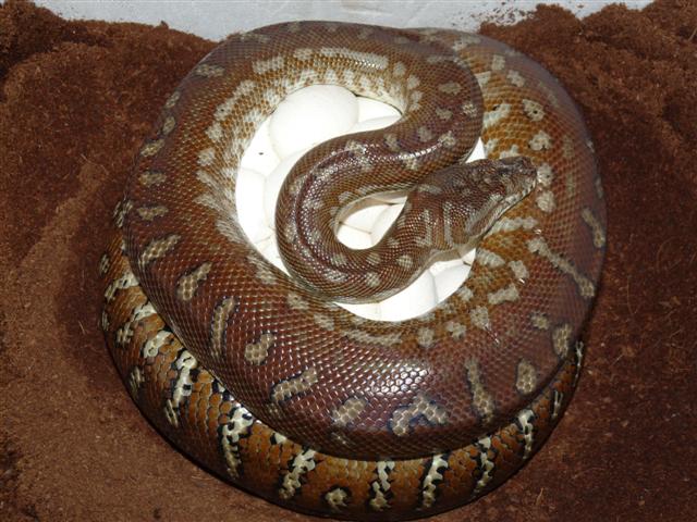 P1030284 (Small).JPG