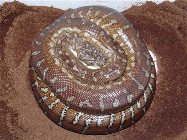 P1030288 (Small).JPG