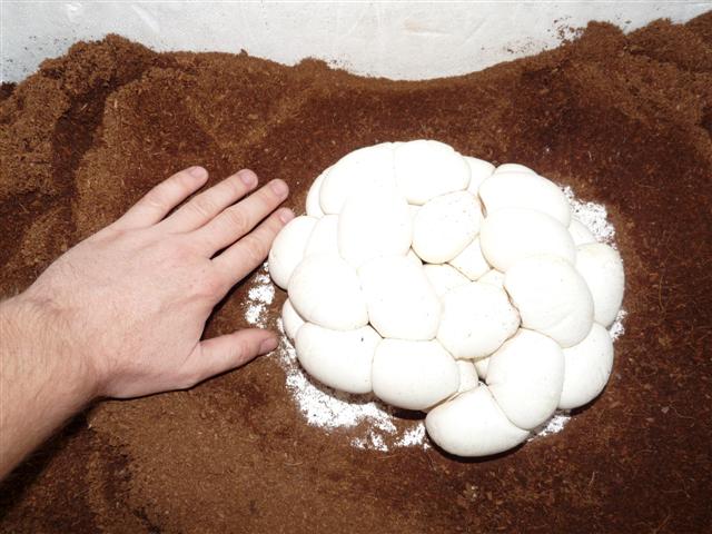 P1030295 (Small).JPG