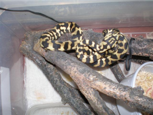 P3151431 (Small).JPG