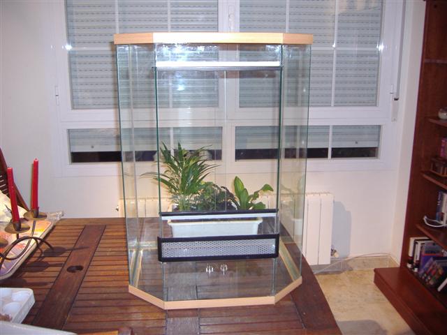 P5130082 (Small).JPG