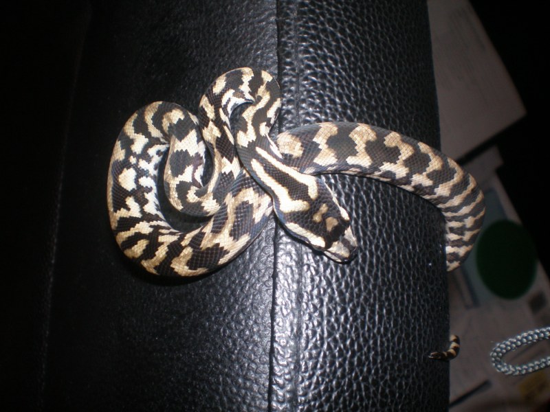 P8040176 [800x600].jpg