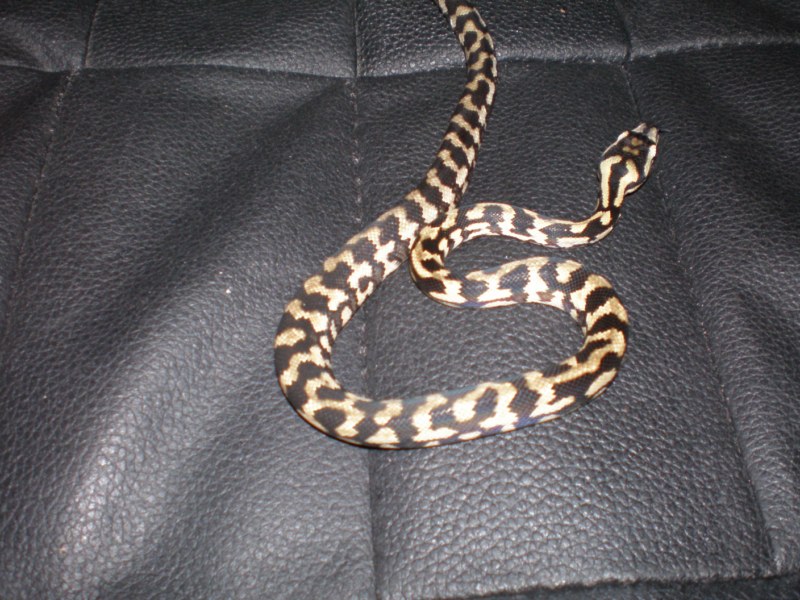 P8220187 [800x600].jpg