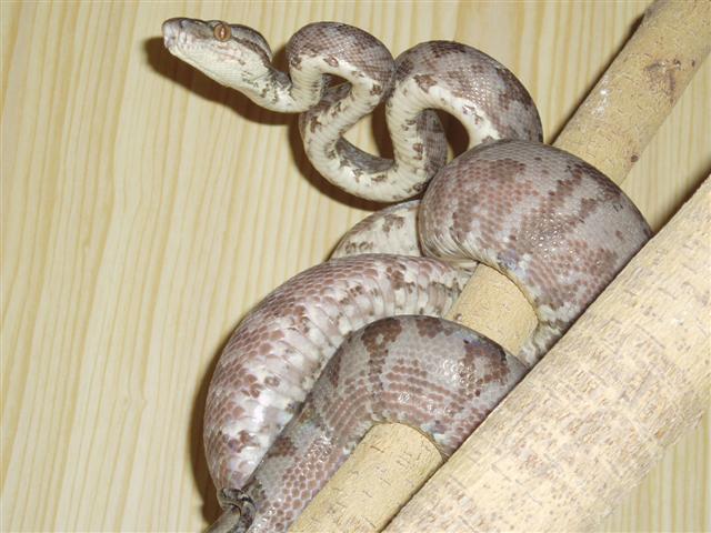 P9230009 (Small).JPG