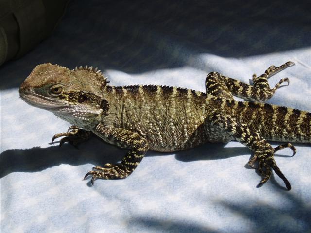 P9230028 (Small).JPG