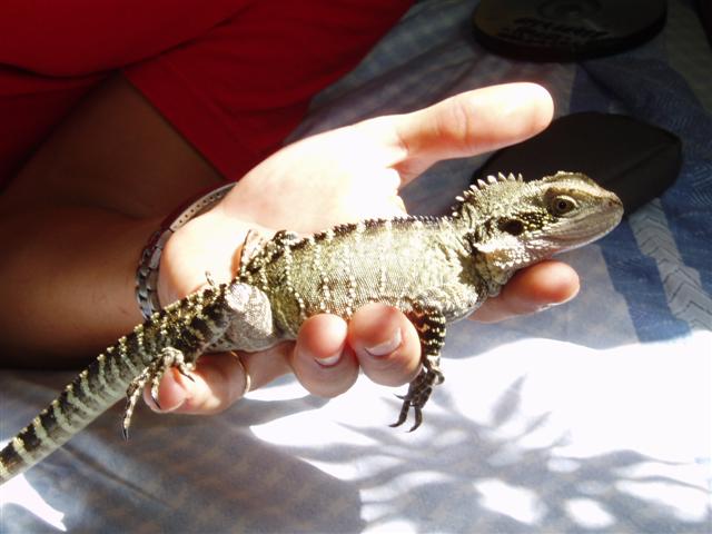 P9230030 (Small).JPG