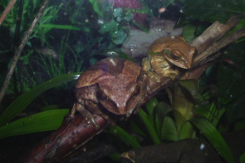 Parejita a la luz de la luna.JPG