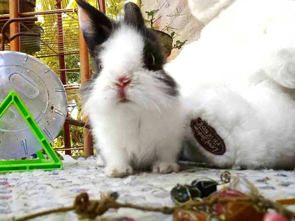 PicsArt_1396836311618