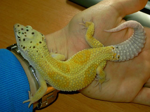 PICT4898 [640x480].JPG