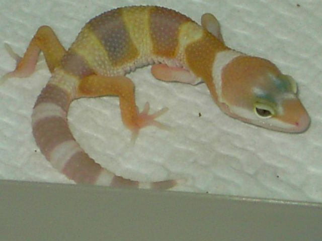 PICT5041 [640x480].JPG