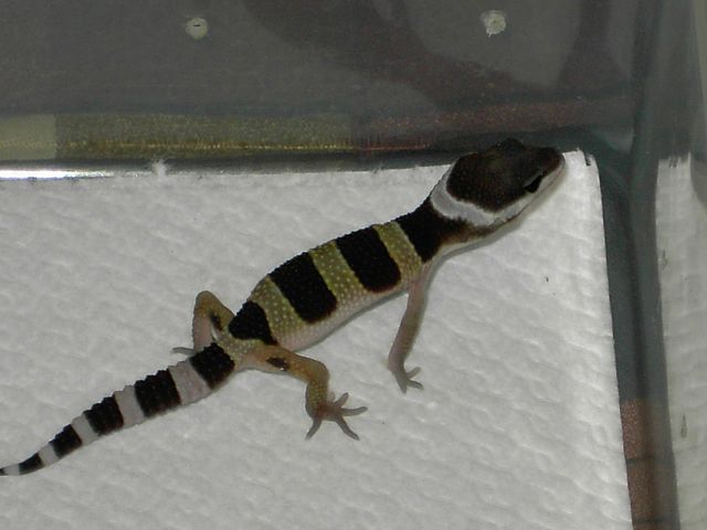 PICT5043 [640x480].JPG