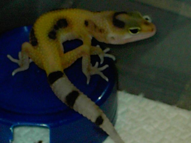 PICT5048 [640x480].JPG