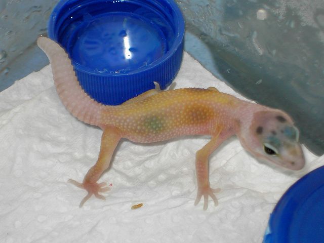 PICT5201 [640x480].JPG