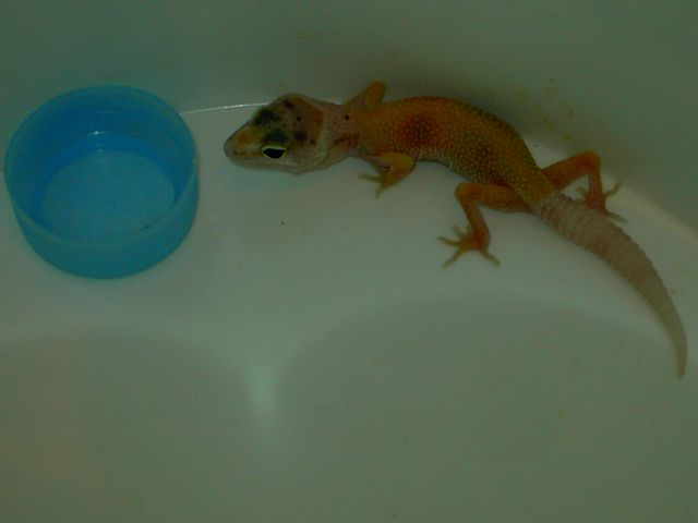 PICT5215 [640x480].JPG