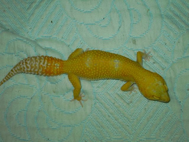 PICT5320 [640x480].JPG