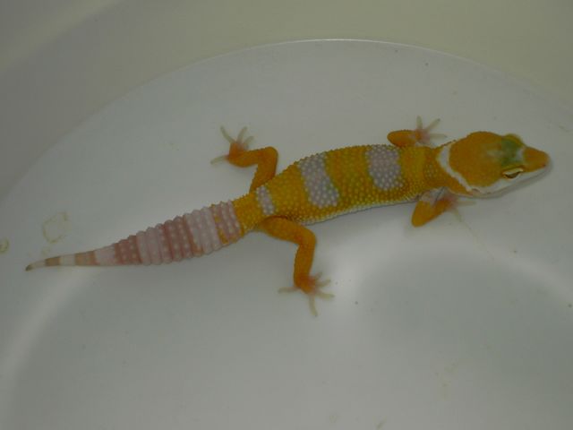 PICT5371 [640x480].JPG