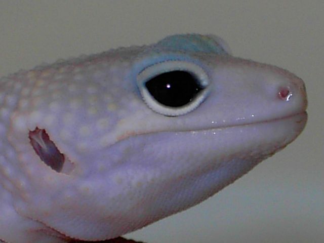 PICT5529 [640x480].JPG