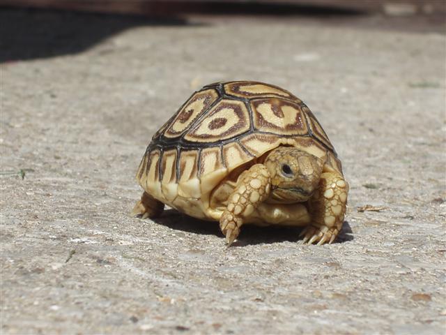 Picture 018 (Small).jpg