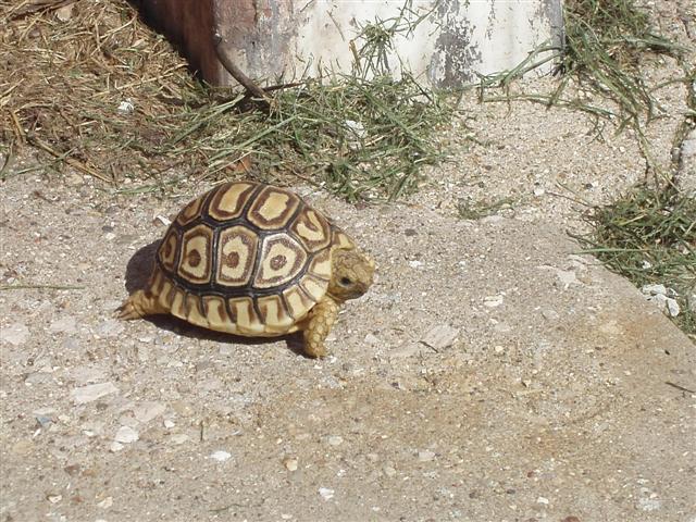 Picture 020 (Small).jpg