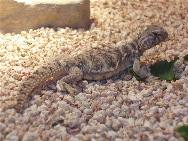 picture 023 (Small).jpg