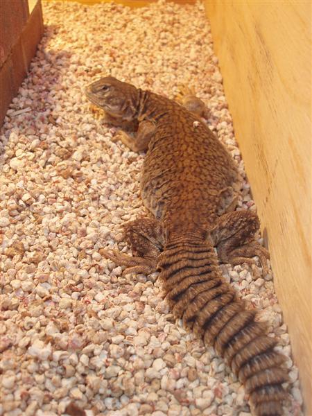 picture 024 (Medium).jpg