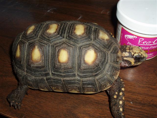 Picture 086 (Small).jpg