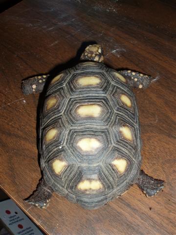 Picture 087 (Small).jpg