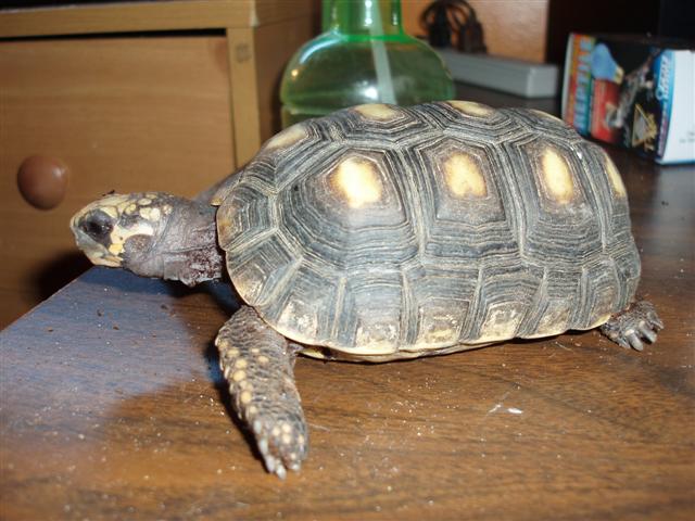 Picture 090 (Small).jpg