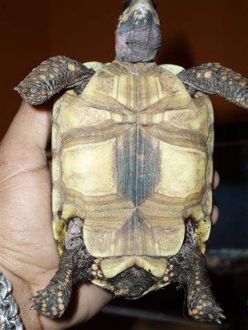 Picture 092 (Small).jpg