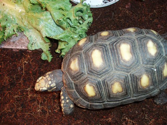 Picture 094 (Small).jpg