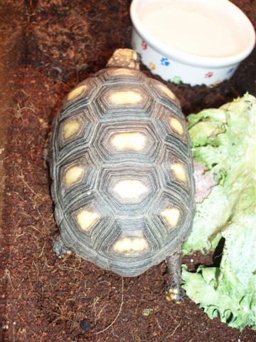 Picture 095 (Small).jpg