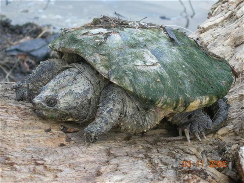 Picture 132 (Small) (Medium).jpg